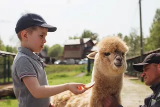 Бородинское